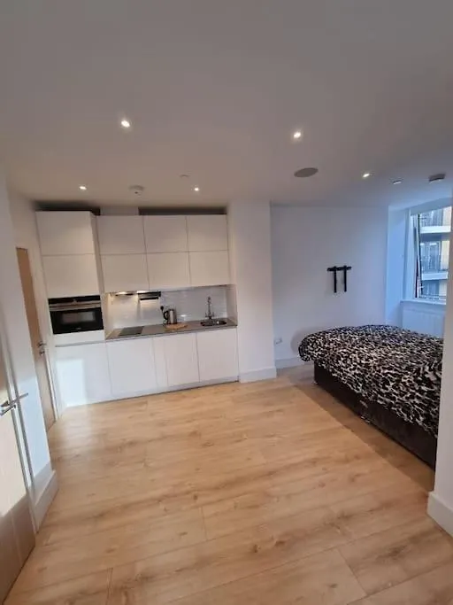 Lovely One Bedroom Apartment In Ilford Town Velká Británie